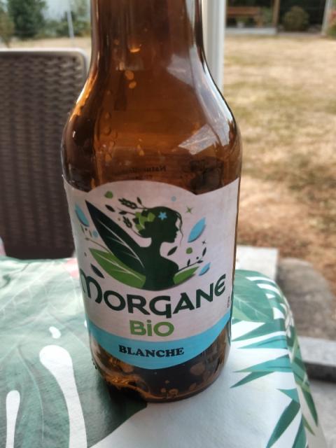 morgan blanche bio 5.3%, Brasserie Lancelot, France