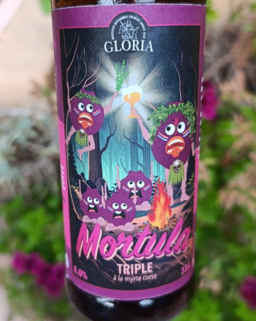 Mortula 8.0%, Brasserie Gloria, France