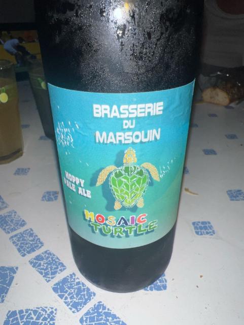 Mosaic turtle 5.0%, Brasserie Du Marsouin, France