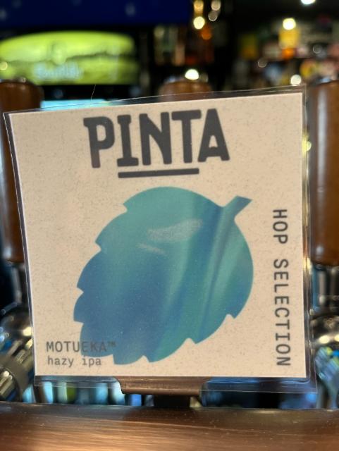 Motueka 6.0%, Browar PINTA, Poland