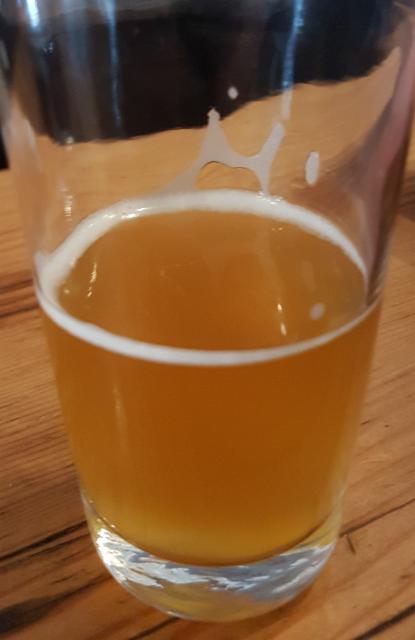 Mountain Dune 4.8%, le fermentor, Canada