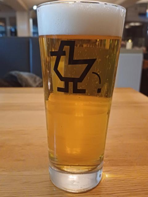 Möven Helles, Mövenschiss