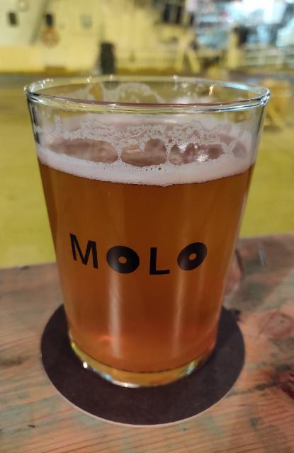 Mr Citrus 4.7%, Molo Brew, Norway