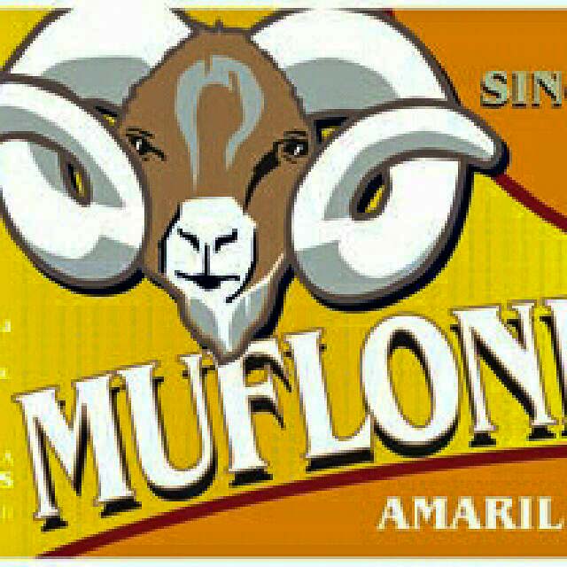 Mufloni Amarillo 3.5%, Panimoravintola Beer Hunter's, Finland
