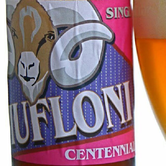 Mufloni Centennial 3.5%, Panimoravintola Beer Hunter's, Finland