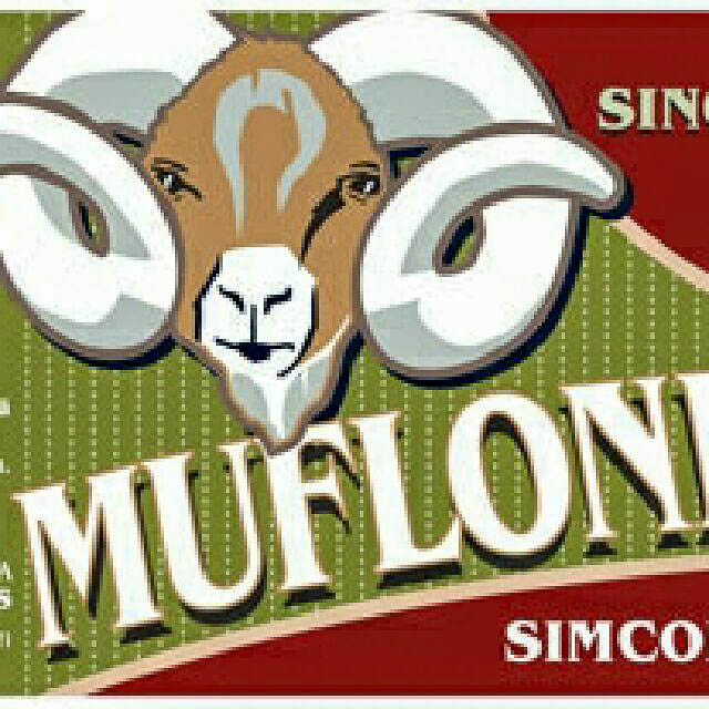 Mufloni Simcoe 3.5%, Panimoravintola Beer Hunter's, Finland