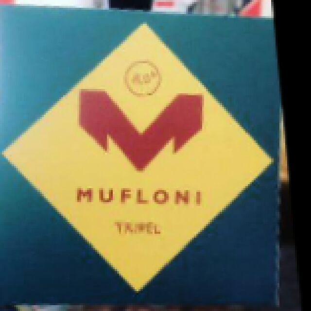 Mufloni Tripel 8.0%, Panimoravintola Beer Hunter's, Finland