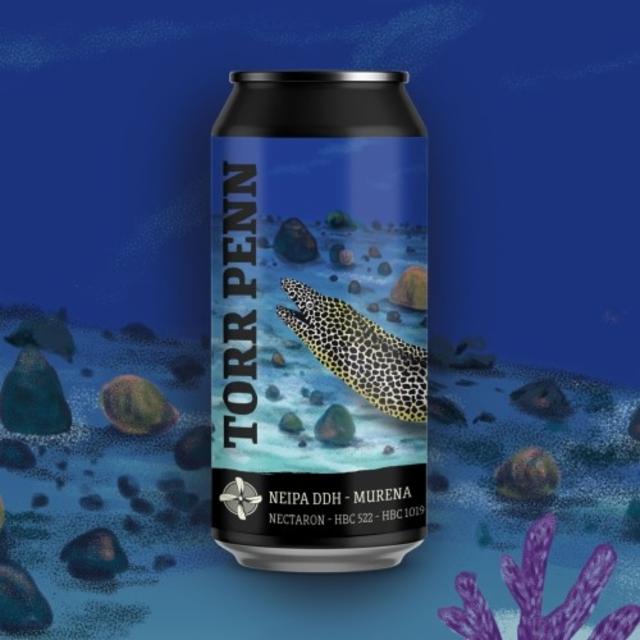 Murena 6.4%, Brasserie Torr Penn, France