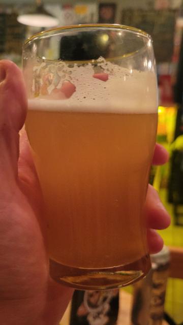 My little brother 4.0%, Raccoon brewing co, Kyrgyzstan