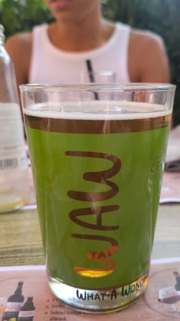 mystery Waw 10.0%, Brasserie des Fagnes, Belgium