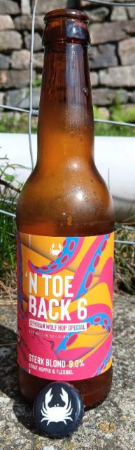 n toeback 6 9.0%, Scheldebrouwerij, Belgium