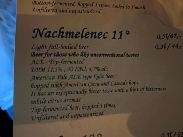 Nachmelenec 11 4.7%, Knížecí Pivovar Plasy, Czech Republic