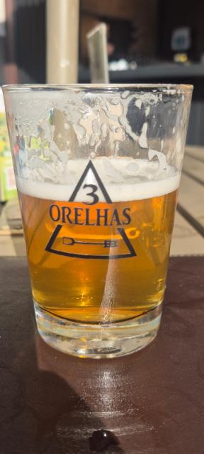 Néctar dos Deuses 6.3%, Cervejaria Três Orelhas, Brazil