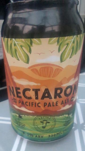 Nectaron Pacific Pale Ale 4.5%, Frome Brewing Company, England