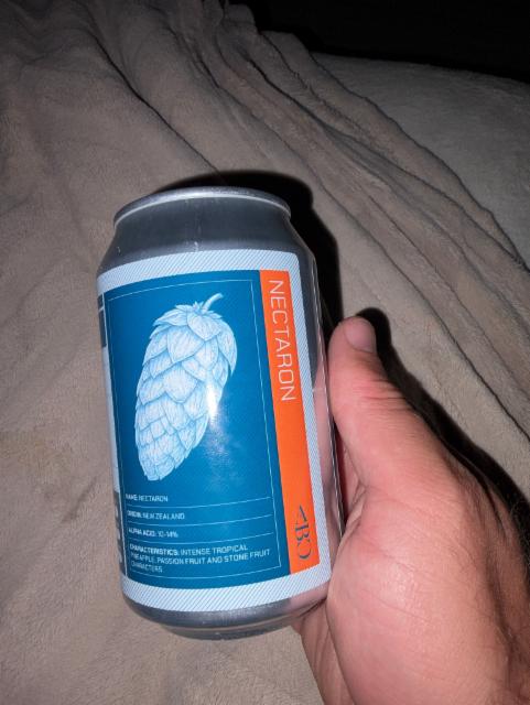 Nectaron West Cost IPA, Berretto Brewings