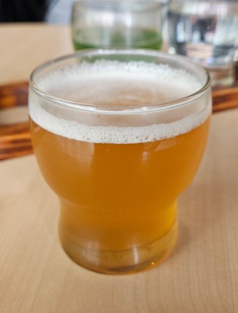 Neipa (2025) 5.6%, Cerveja Canil, Portugal