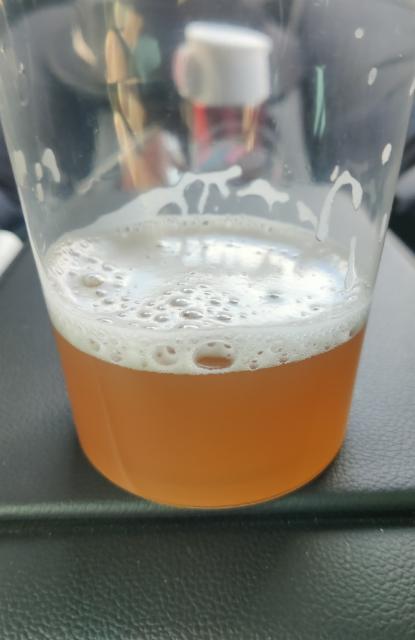 Möly NEIPA 7.2%, Möly Brew, Finland