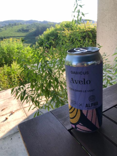 Neipa dans le vent 6.0%, Brasserie Artisanale Gallicus, Canada