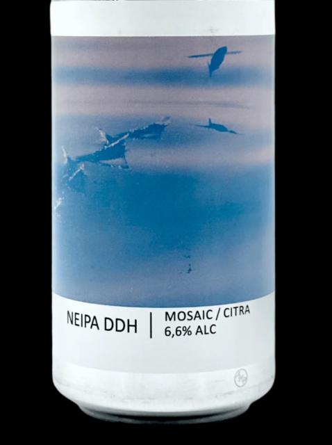 NEIPA DDH Mosaic / Citra, Brasserie Popihn