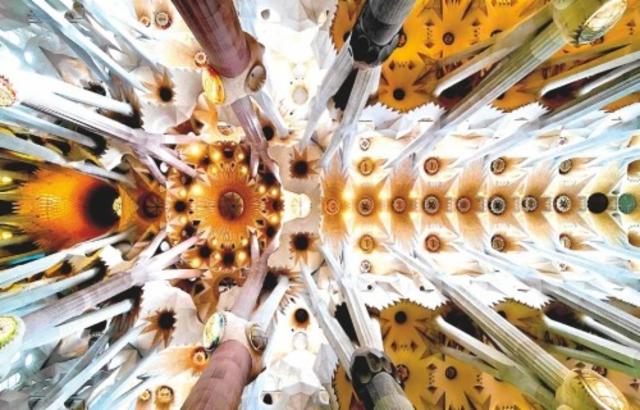 NEIPA DDH Dolcita / Citra 6.5%, Brasserie Popihn, France