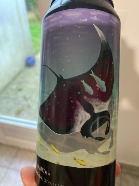 Neipa ddh manta, Brasserie Torr Penn