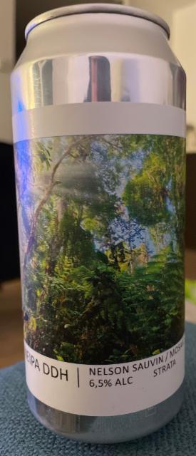 NEIPA DDH NELSON SAUVIN MOSAIC STRATA 6.5%, Brasserie Popihn, France