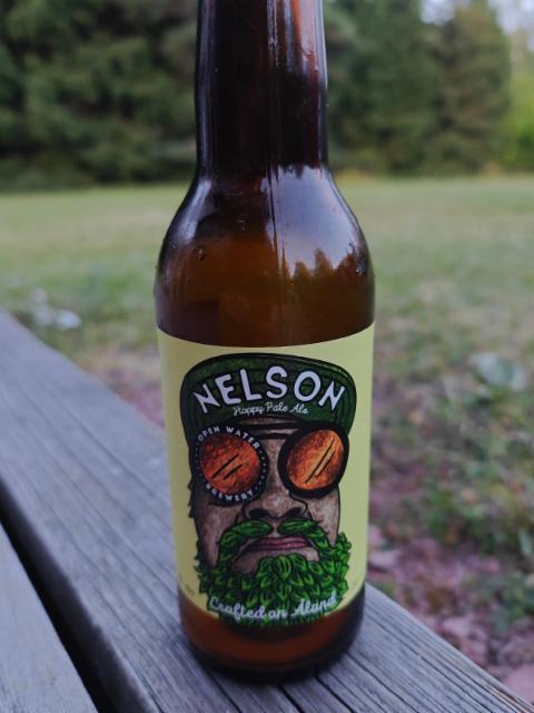 Nelson hoppy pale ale 5.4%, Open Water Brewery, Finland