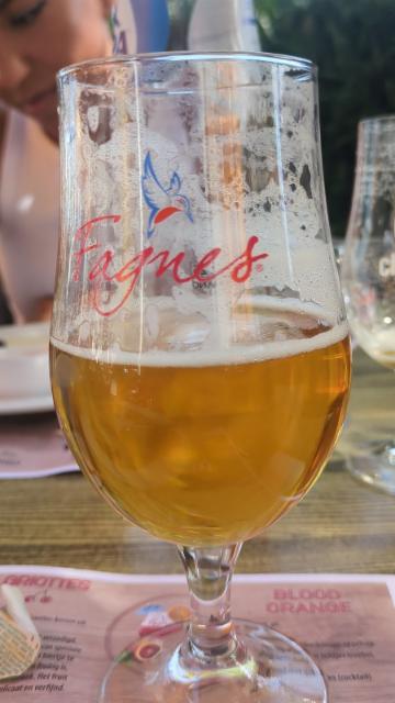 nelson sauvin ipa 6.5%, Brasserie des Fagnes, Belgium