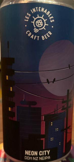 Neon City 6.5%, Les Intenables - Craft Beer, France