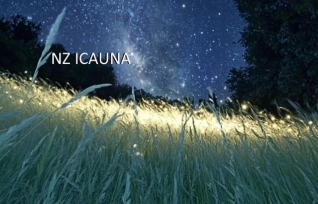 New-Zealand Icauna 4.8%, Brasserie Popihn, France