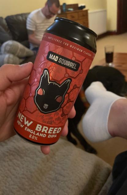 New Breed 8.0%, Mad Squirrel Brewing, England