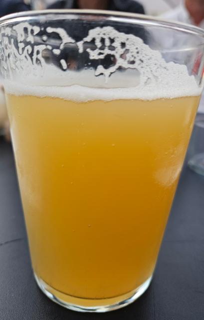 New england ipa 5.5%, Åben, Denmark