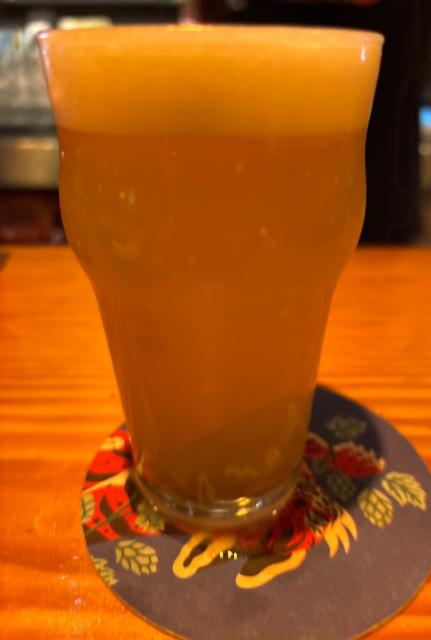 New team, La Quince Brewing Co.