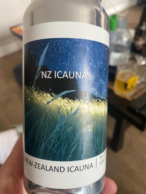 New-Zealand Icauna 4.8%, Brasserie Popihn, France
