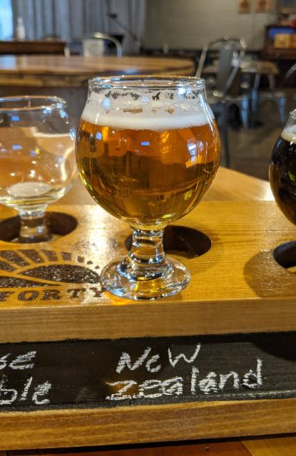 New Zealand IPA 9.0%, Back Forty Beer Company, United States