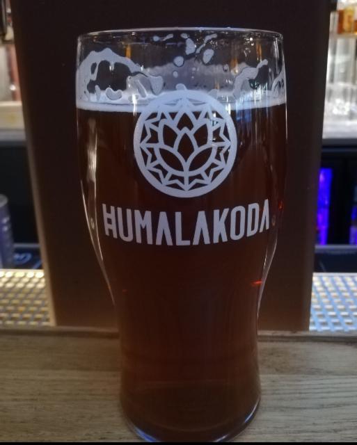 Nisu IPA 6.8%, Humalakoda, Estonia
