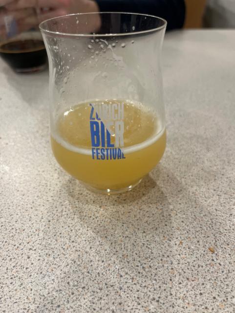 No Fun 5.1%, Finback Brewery, United States