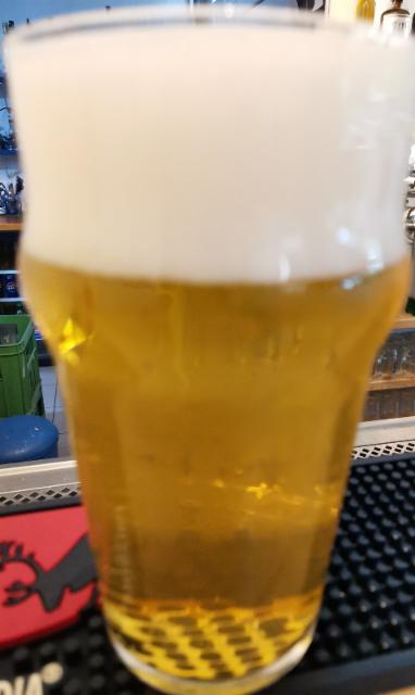 No Pasa Nada 5.1%, Pivovar Permon, Czech Republic