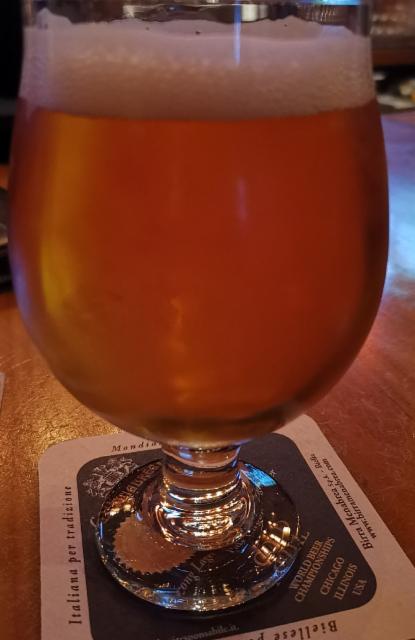 No seeds, No stems 10.0%, Knee Deep Brewing Company, United States
