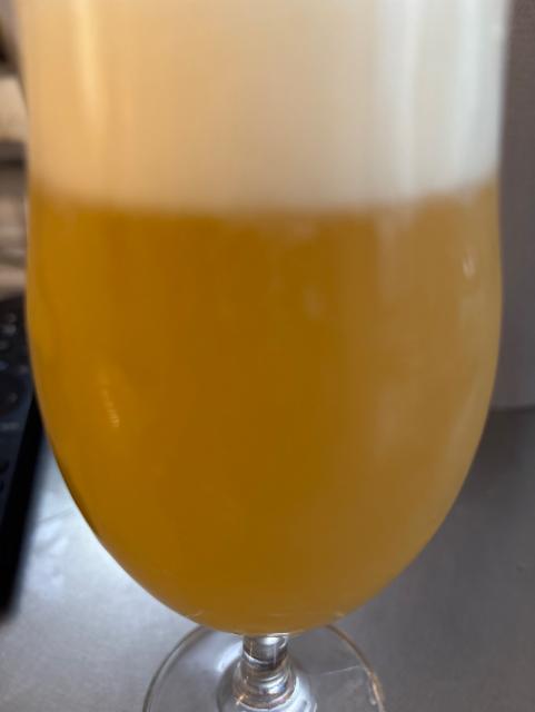 No worries 6.0%, Oso Brew Co., Spain