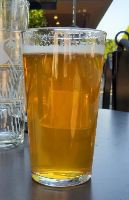 nordic brewery saison 6.2%, Nordic Brewery, Finland