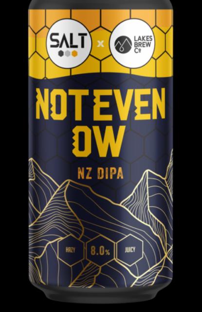 Not Even OW 8.6%, Salt, England