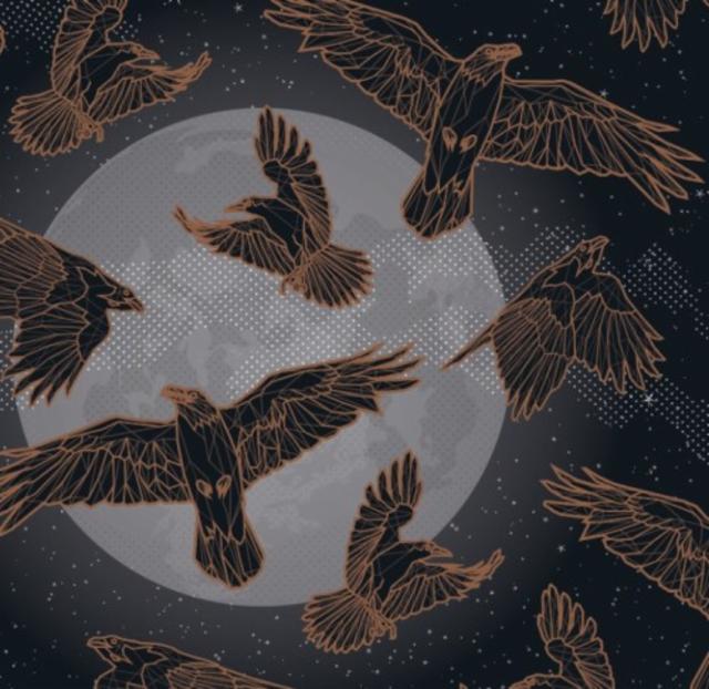 Nox 7.0%, Mortalis Brewing Co., United States