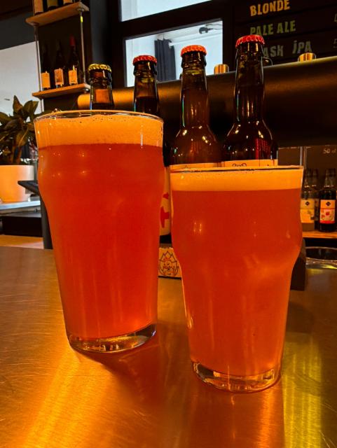 Nuits rouges 4.9%, Brasserie Orange Duck, France