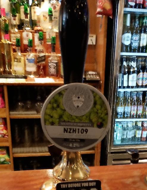 nzh109 4.2%, Wantsum Brewery, England
