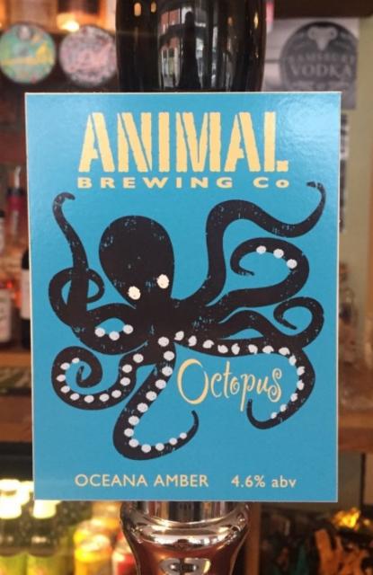 Octopus 4.6%, Animal Brewing Co., England