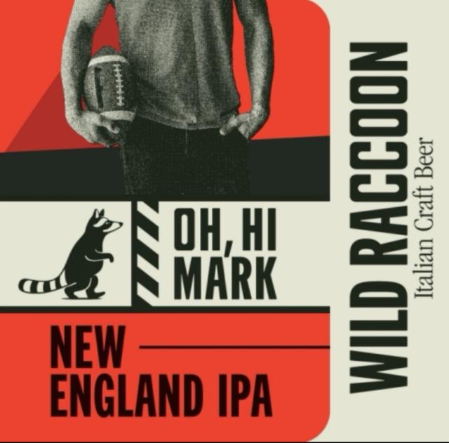 Oh, hi mark 6.7%, Birrificio Wild racoon, Italy