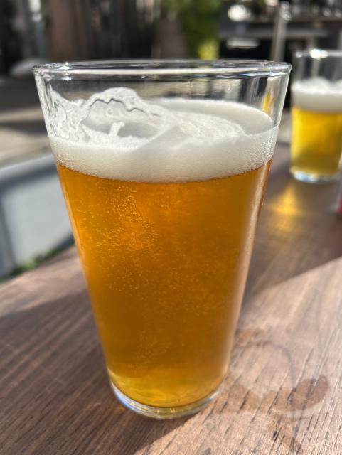 Omaka 6.2%, Spendrups Bryggeri, Sweden