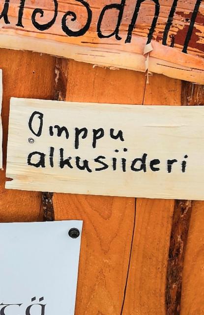 Omppu Alkusiideri 6.5%, Olu Bryki Raum, Finland
