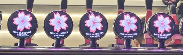 One Love 6.0%, Pink Blossoms, Singapore